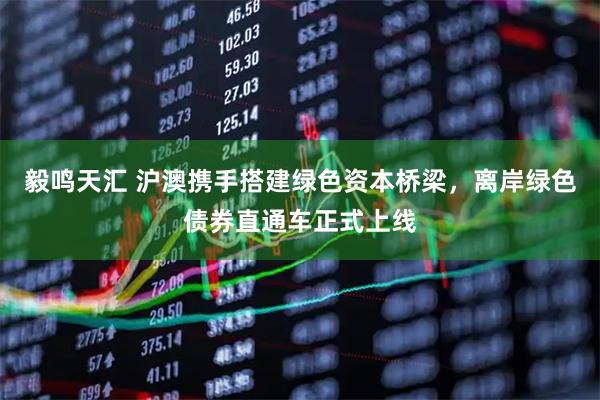 毅鸣天汇 沪澳携手搭建绿色资本桥梁，离岸绿色债券直通车正式上线