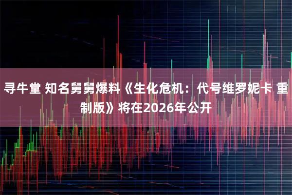 寻牛堂 知名舅舅爆料《生化危机：代号维罗妮卡 重制版》将在2026年公开