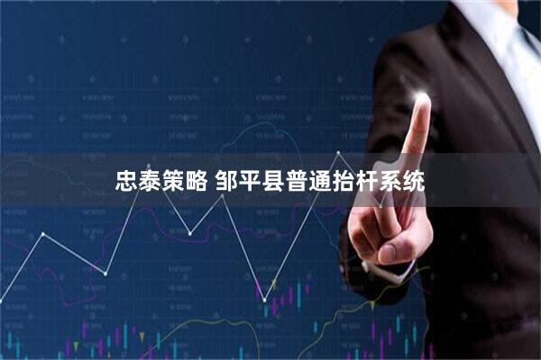 忠泰策略 邹平县普通抬杆系统