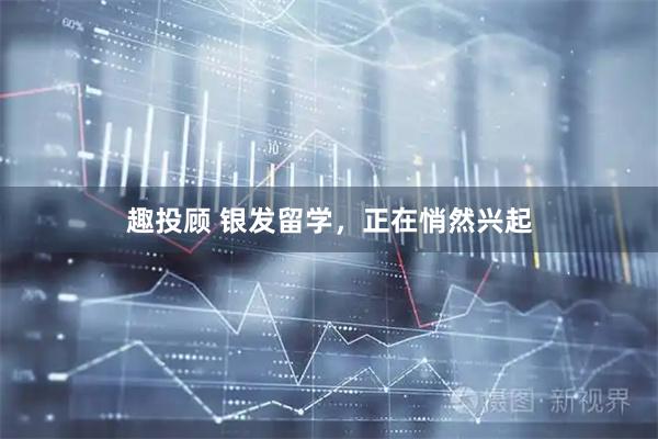 趣投顾 银发留学，正在悄然兴起